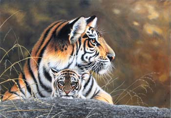Bengal Tigers